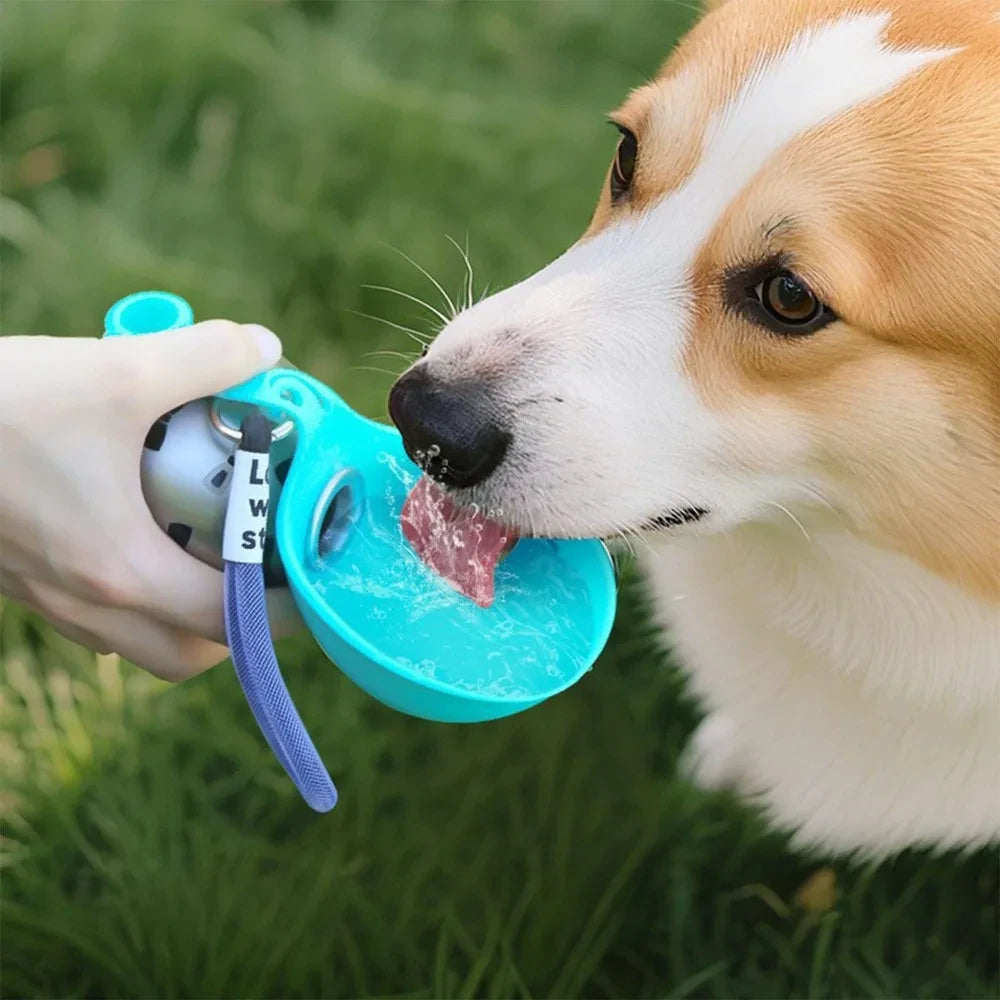 Stainless Steel Dog Water Bottle